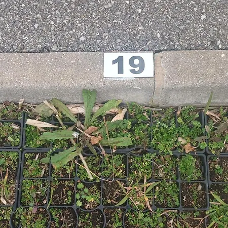 Le Marin - Pool And Parking * Antibes