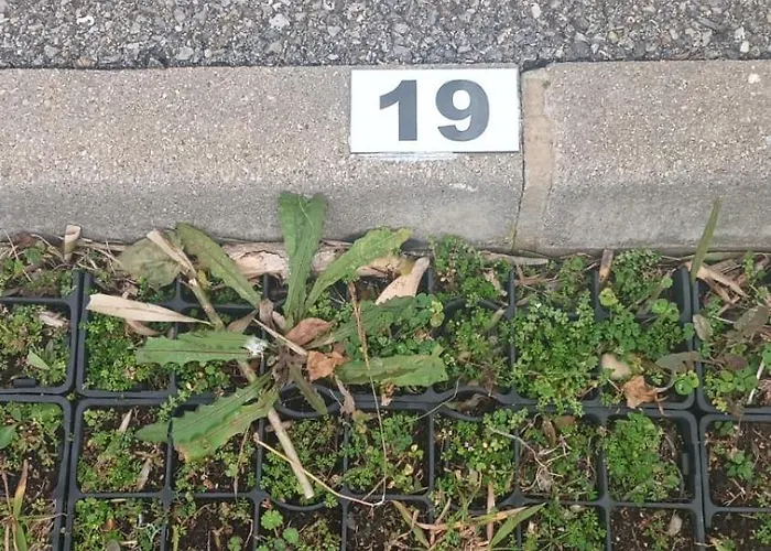 Le Marin - Pool And Parking * Antibes